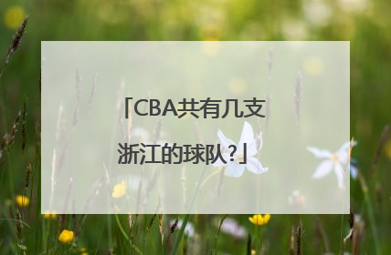 CBA共有几支浙江的球队?