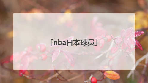 「nba日本球员」日本第一个NBA球员