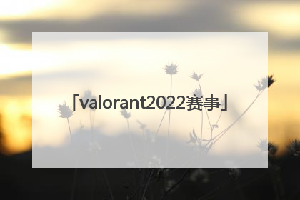「valorant2022赛事」valorant2022冠军皮肤